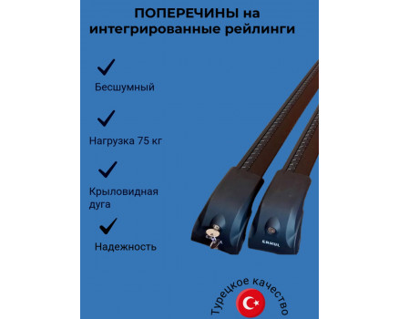 Багажник на рейлинги ECEM V2 черный в Екатеринбурге