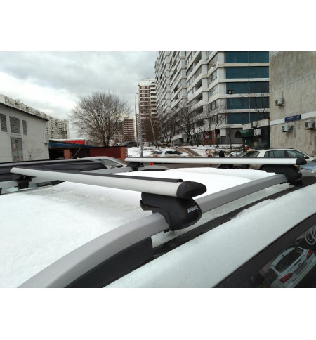 Багажник Атлант на Ford C-MAX 2003—2019 Арт. 8810+8824 в Екатеринбурге